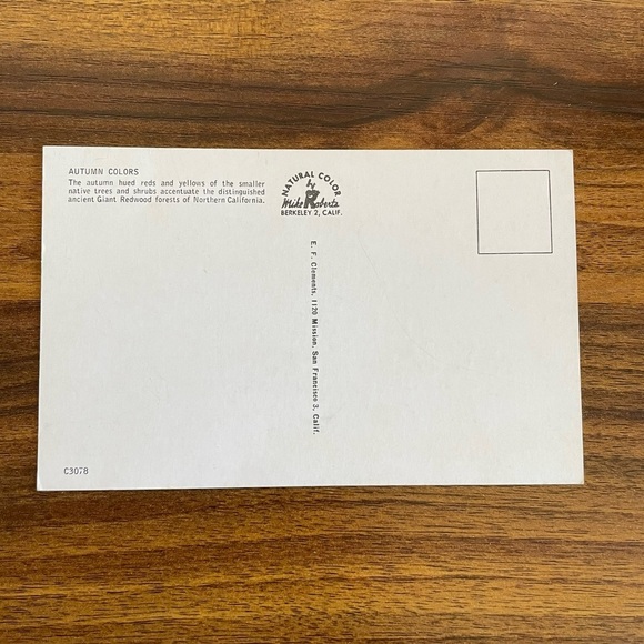 Vintage Postcard Lot 1950s California Giant Redwoods Sequoia Sempervirens Avenue - Picture 6 of 9